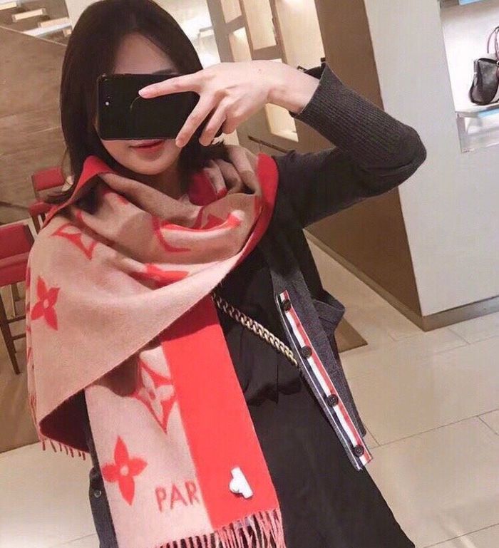 Louis Vuitton Scarf LV00049